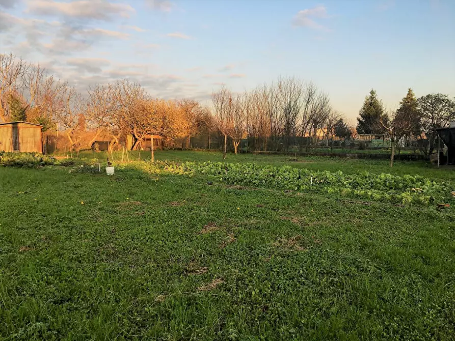 Immagine 16 di Appartamento in vendita  in VIA CARPENEDOLO a Calvisano