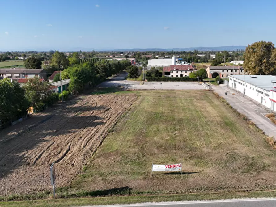 Immagine 4 di Terreno in vendita  a Borgo Veneto