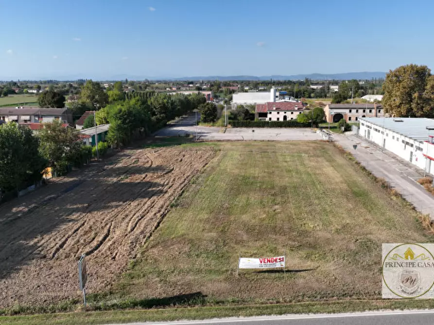 Immagine 5 di Terreno in vendita  a Borgo Veneto