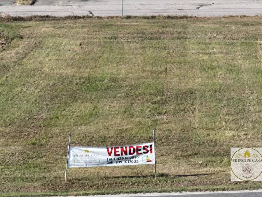 Immagine 6 di Terreno in vendita  a Borgo Veneto