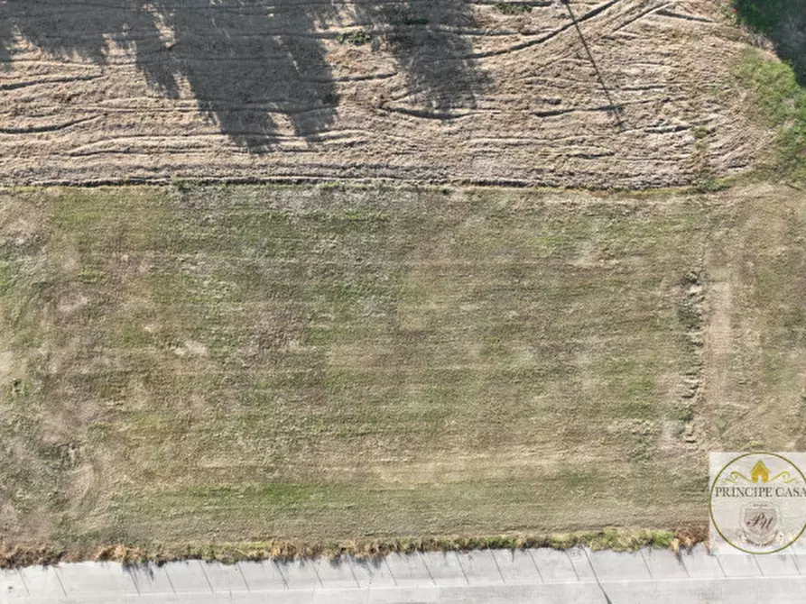 Immagine 8 di Terreno in vendita  a Borgo Veneto