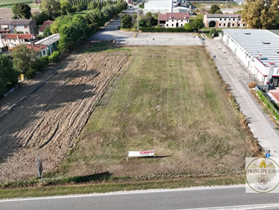 Immagine 9 di Terreno in vendita  a Borgo Veneto
