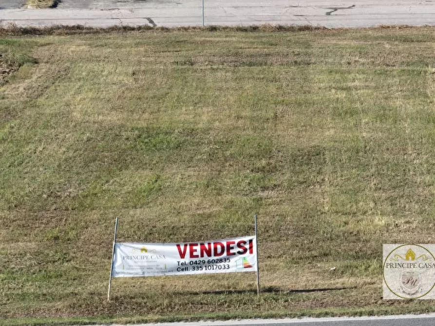 Immagine 10 di Terreno in vendita  a Borgo Veneto