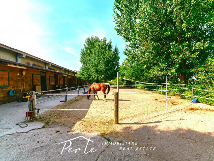 Immagine 10 di Rustico / casale in vendita  in curtatone strada vicinale giuliana 2 a Curtatone