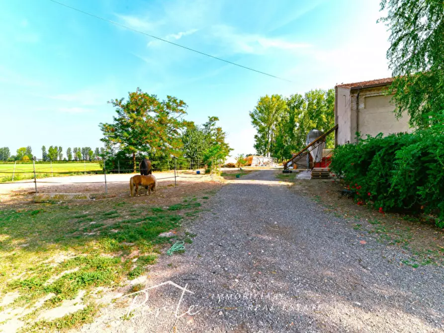 Immagine 12 di Rustico / casale in vendita  in curtatone strada vicinale giuliana 2 a Curtatone