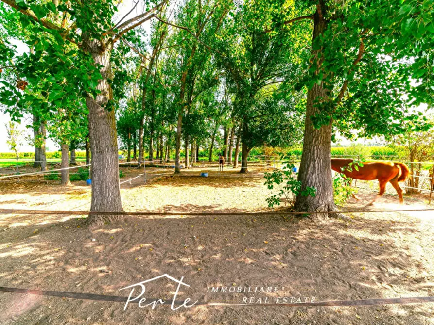 Immagine 14 di Rustico / casale in vendita  in curtatone strada vicinale giuliana 2 a Curtatone