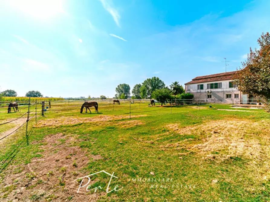 Immagine 15 di Rustico / casale in vendita  in curtatone strada vicinale giuliana 2 a Curtatone