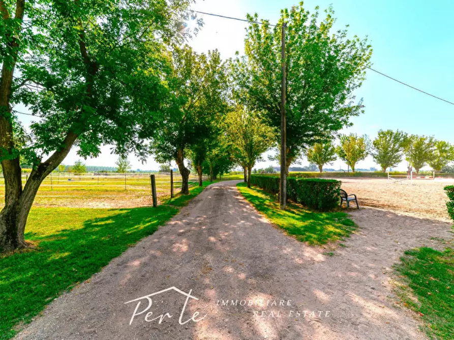 Immagine 19 di Rustico / casale in vendita  in curtatone strada vicinale giuliana 2 a Curtatone