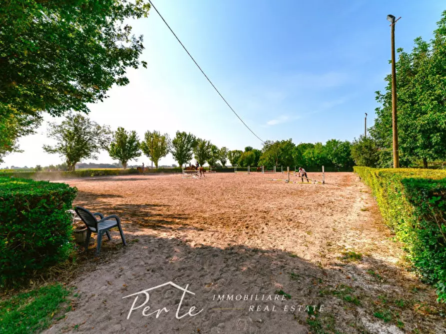 Immagine 20 di Rustico / casale in vendita  in curtatone strada vicinale giuliana 2 a Curtatone