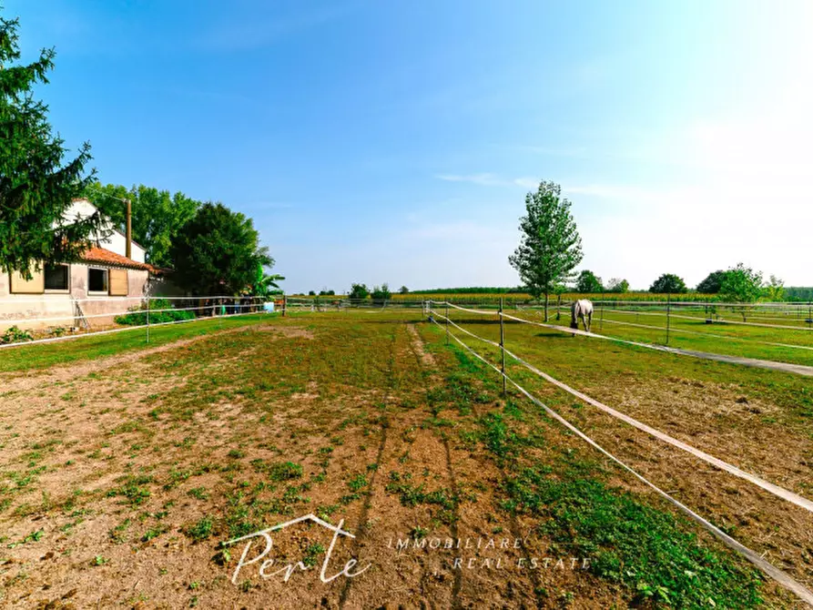 Immagine 21 di Rustico / casale in vendita  in curtatone strada vicinale giuliana 2 a Curtatone