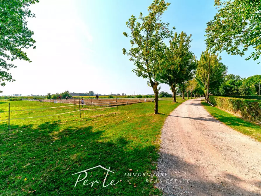 Immagine 22 di Rustico / casale in vendita  in curtatone strada vicinale giuliana 2 a Curtatone