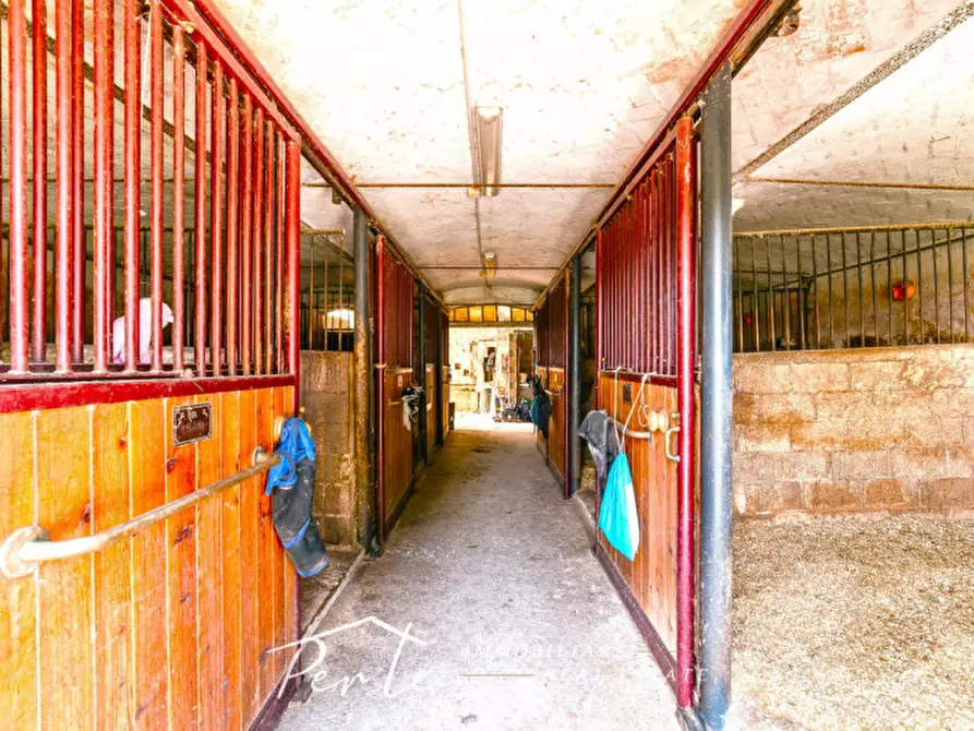 Immagine 23 di Rustico / casale in vendita  in curtatone strada vicinale giuliana 2 a Curtatone