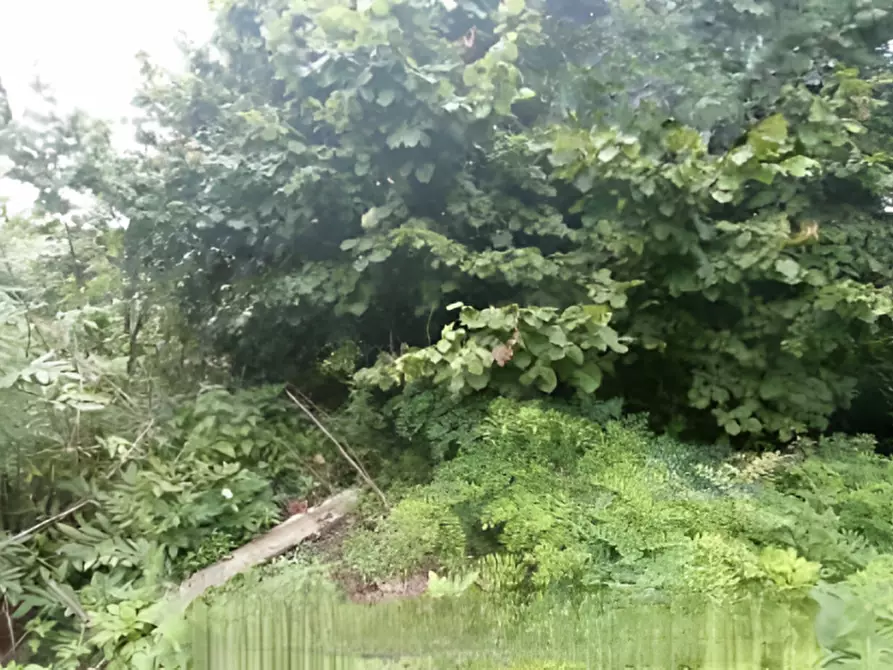 Immagine 22 di Villa in vendita  in Loc. Monpiola n. 60 a Verrua Savoia