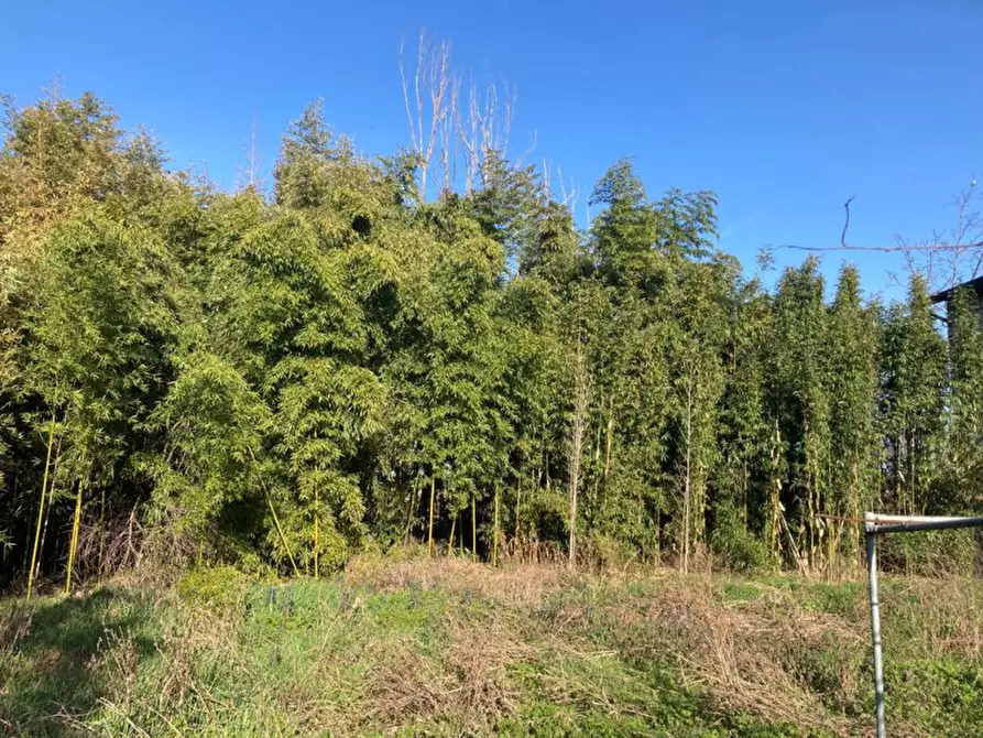 Immagine 9 di Rustico / casale in vendita  in VIA VISANO MONTICHIARI, 4 a Calvisano