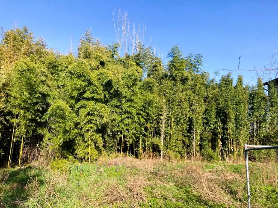 Immagine 13 di Rustico / casale in vendita  in VIA VISANO MONTICHIARI, 4 a Calvisano