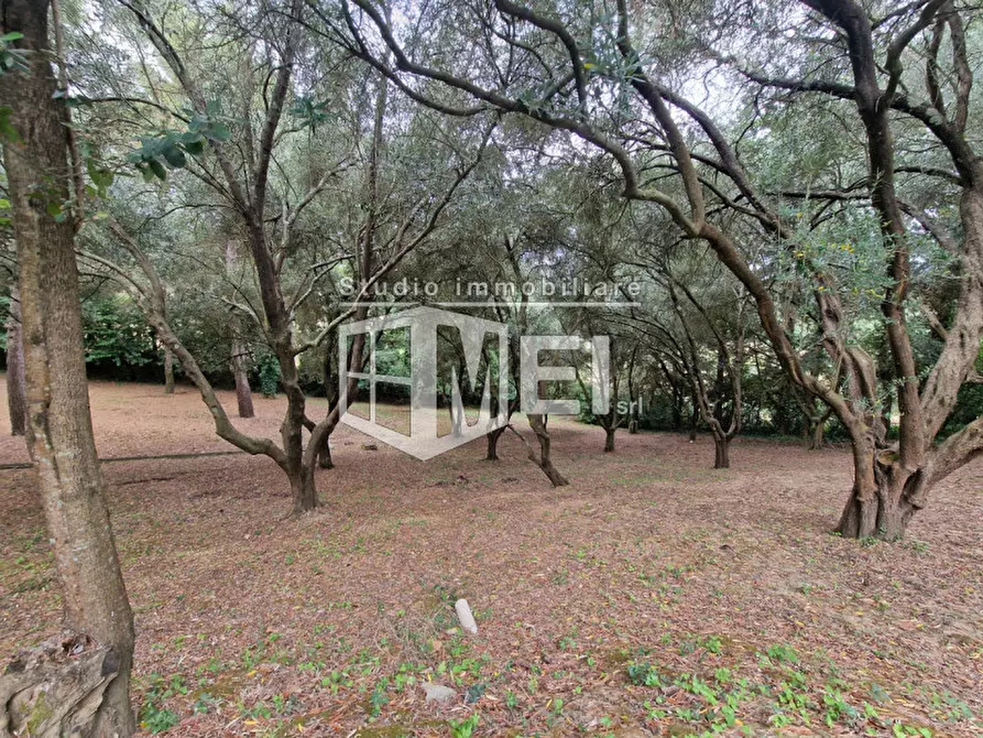 Immagine 23 di Villa in vendita  in via pian delle tregge a Collesalvetti