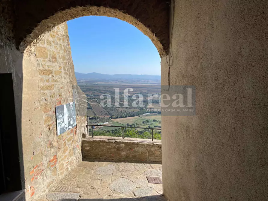 Immagine 33 di Appartamento in vendita  a Castiglione Della Pescaia