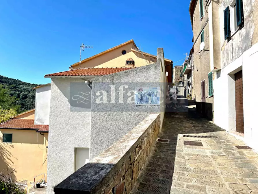 Immagine 36 di Appartamento in vendita  a Castiglione Della Pescaia