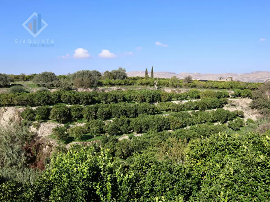 Immagine 18 di Terreno in vendita  in c.da Burgo San Giovanni snc a Mineo