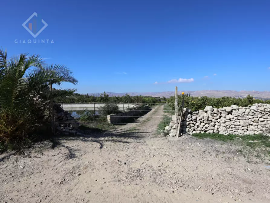 Immagine 26 di Terreno in vendita  in c.da Burgo San Giovanni snc a Mineo
