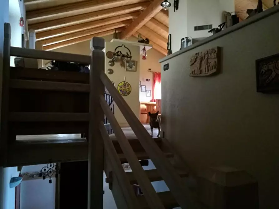 Immagine 9 di Casa indipendente in vendita  in VIA MOLNI a Temù