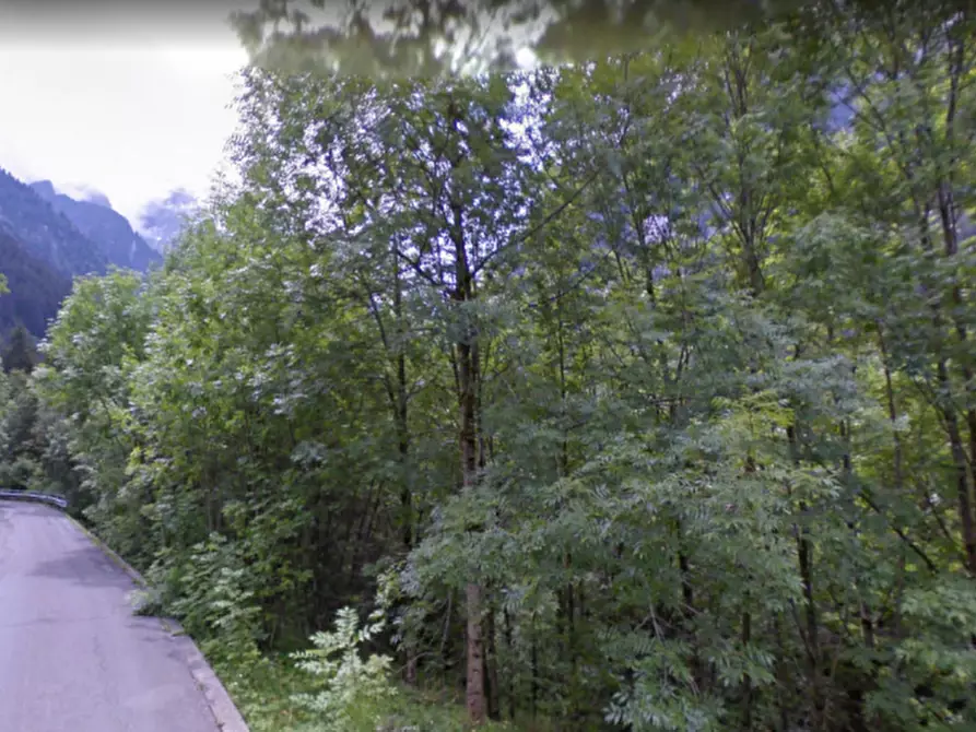 Immagine 14 di Casa indipendente in vendita  in VIA MOLNI a Temù