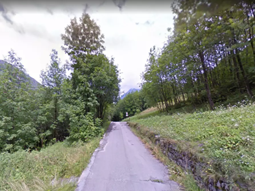 Immagine 15 di Casa indipendente in vendita  in VIA MOLNI a Temù