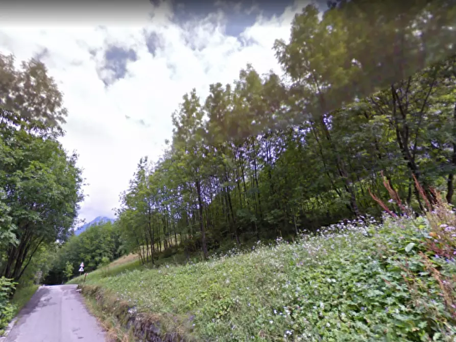 Immagine 16 di Casa indipendente in vendita  in VIA MOLNI a Temù