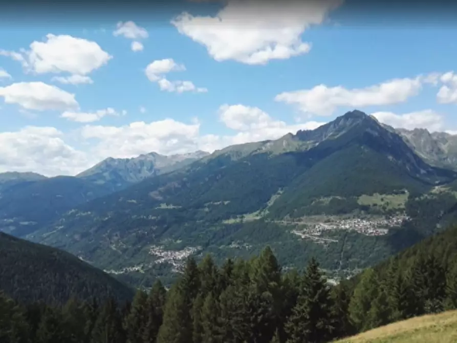 Immagine 20 di Casa indipendente in vendita  in VIA MOLNI a Temù