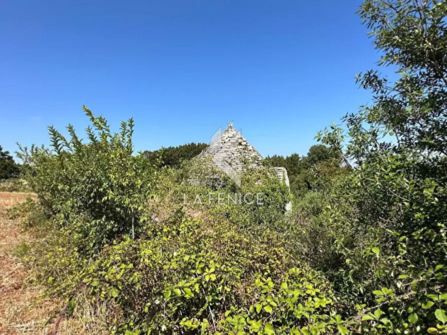 Immagine 2 di Rustico / casale in vendita  in strada minco di tata a Martina Franca