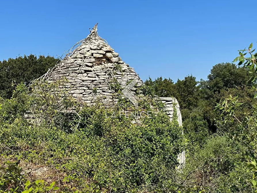Immagine 3 di Rustico / casale in vendita  in strada minco di tata a Martina Franca