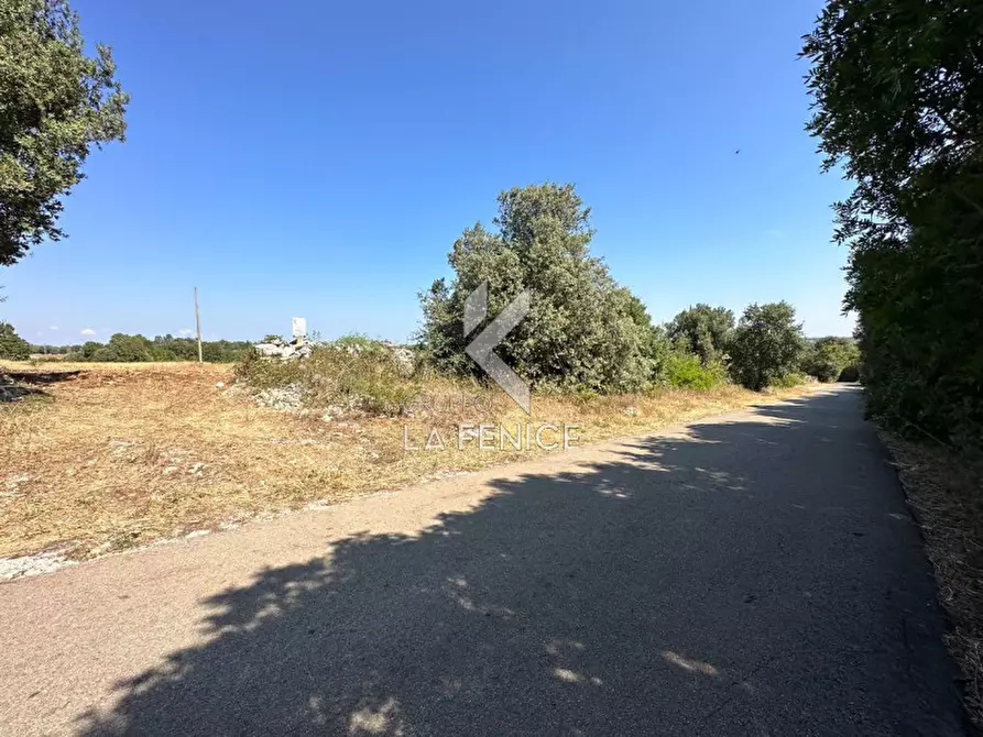 Immagine 4 di Rustico / casale in vendita  in strada minco di tata a Martina Franca