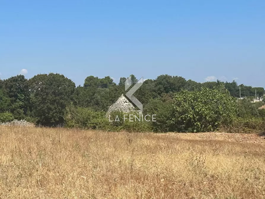 Immagine 5 di Rustico / casale in vendita  in strada minco di tata a Martina Franca