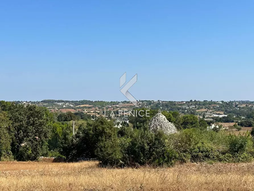 Immagine 6 di Rustico / casale in vendita  in strada minco di tata a Martina Franca