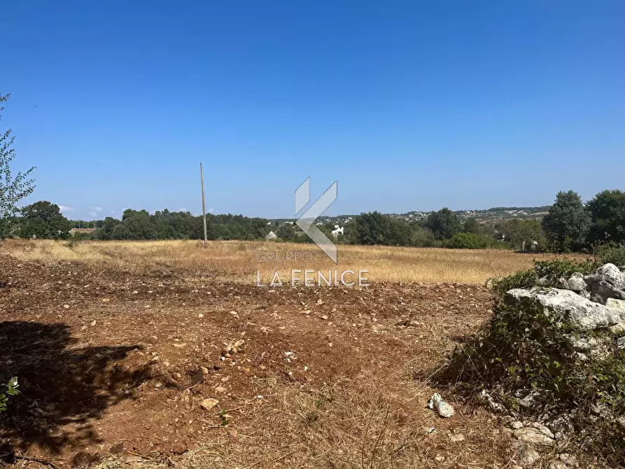 Immagine 7 di Rustico / casale in vendita  in strada minco di tata a Martina Franca