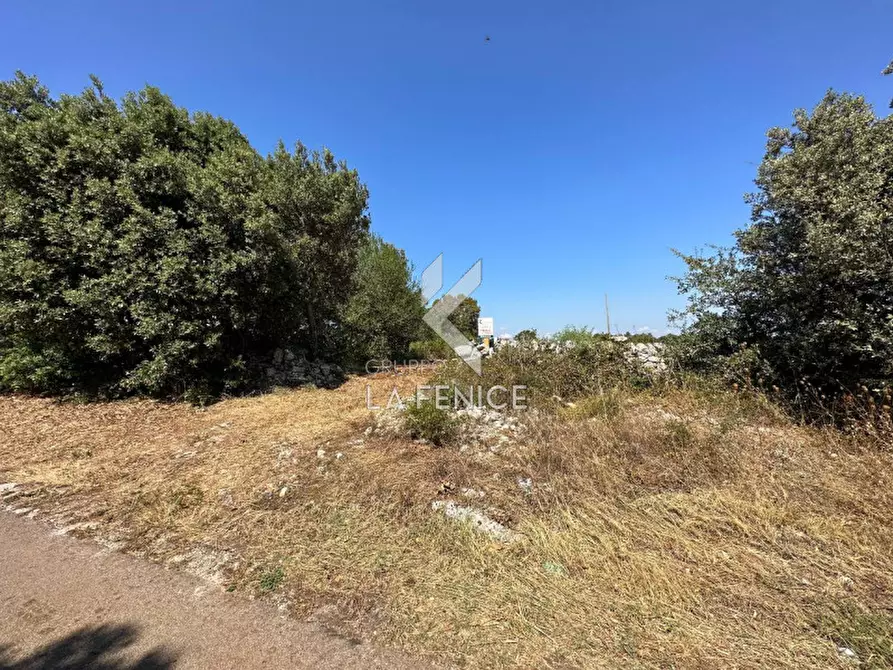 Immagine 8 di Rustico / casale in vendita  in strada minco di tata a Martina Franca