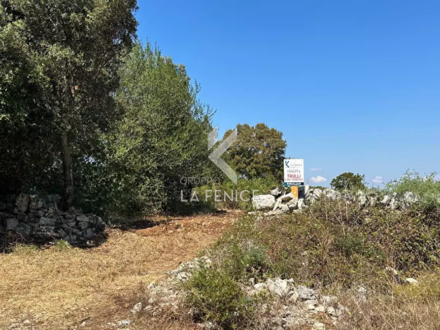 Immagine 9 di Rustico / casale in vendita  in strada minco di tata a Martina Franca