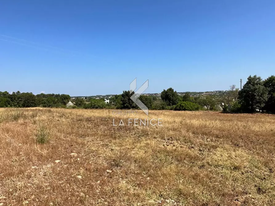 Immagine 10 di Rustico / casale in vendita  in strada minco di tata a Martina Franca