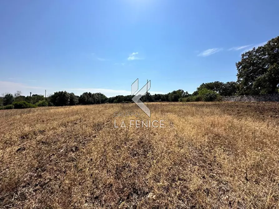 Immagine 11 di Rustico / casale in vendita  in strada minco di tata a Martina Franca