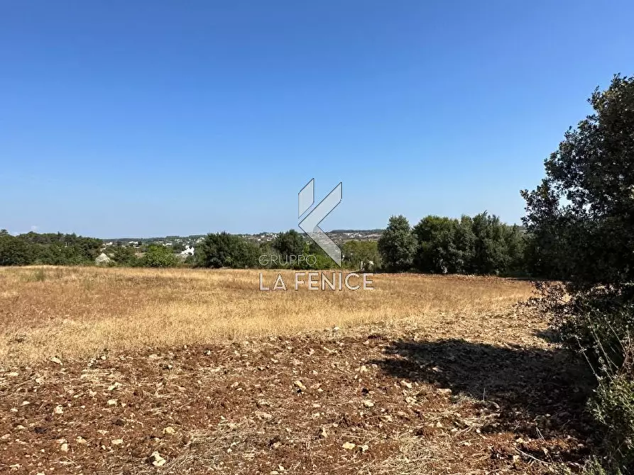 Immagine 12 di Rustico / casale in vendita  in strada minco di tata a Martina Franca