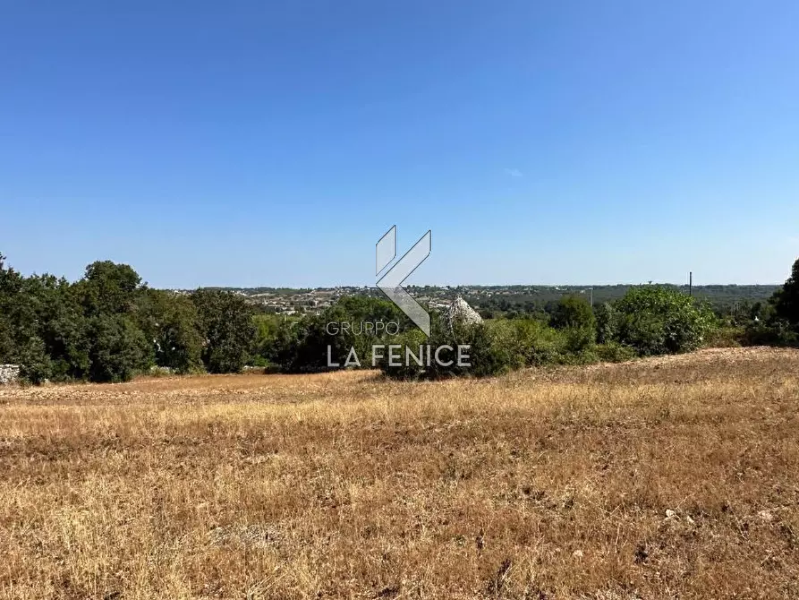 Immagine 13 di Rustico / casale in vendita  in strada minco di tata a Martina Franca