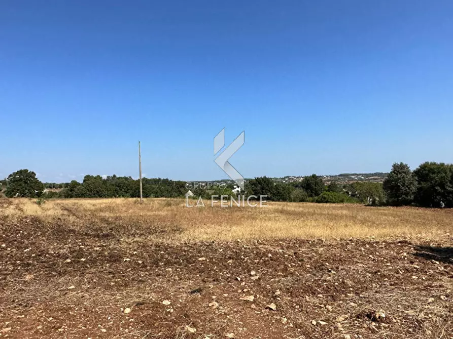 Immagine 14 di Rustico / casale in vendita  in strada minco di tata a Martina Franca