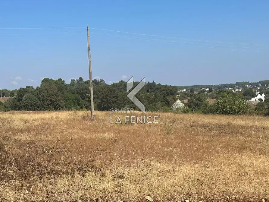 Immagine 15 di Rustico / casale in vendita  in strada minco di tata a Martina Franca