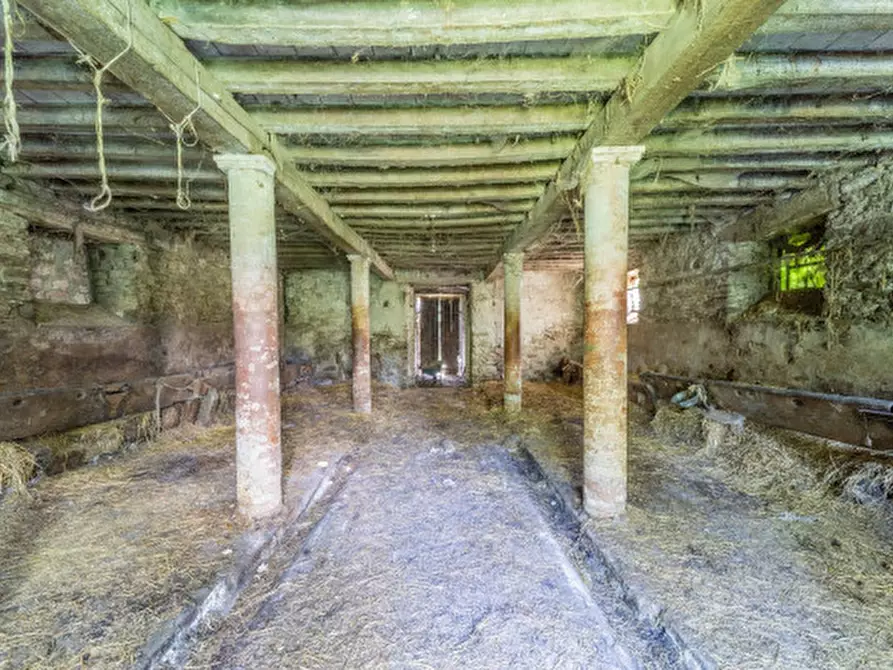 Immagine 20 di Rustico / casale in vendita  in Frazione Villula a Corniglio