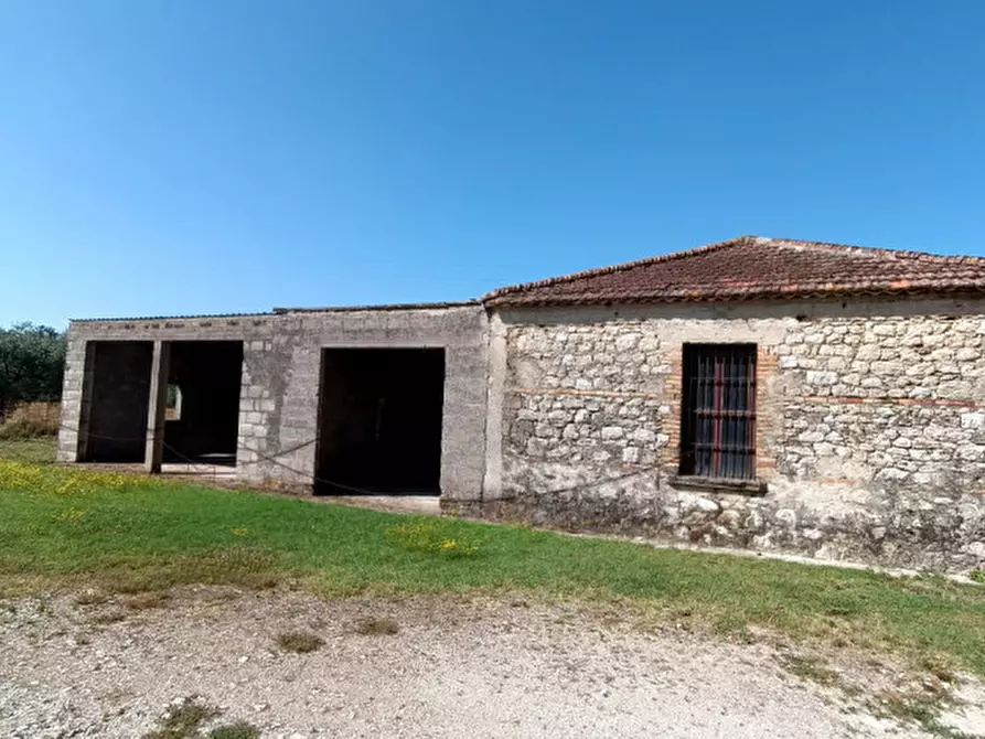 Immagine 3 di Terreno in vendita  in VIA PIANA a Roccasecca