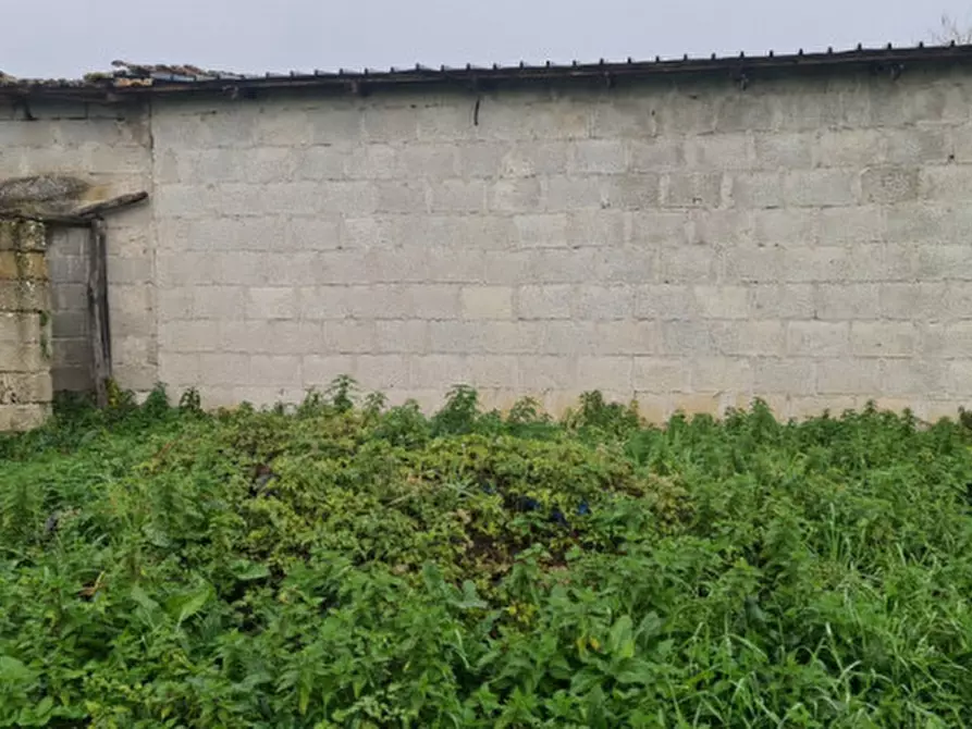 Immagine 11 di Terreno in vendita  in VIA PIANA a Roccasecca