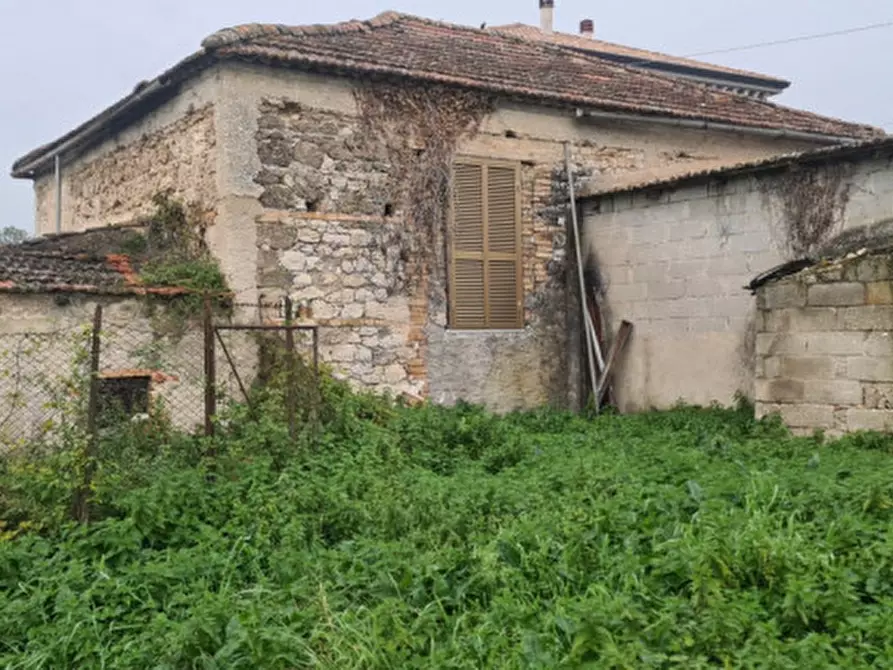 Immagine 12 di Terreno in vendita  in VIA PIANA a Roccasecca