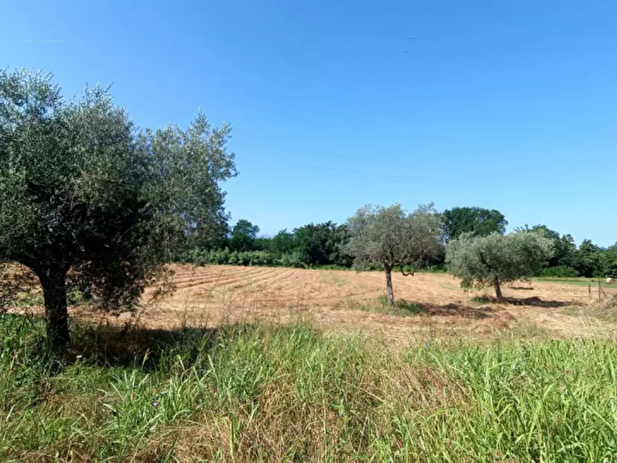 Immagine 3 di Rustico / casale in vendita  in VIA PIANA a Roccasecca