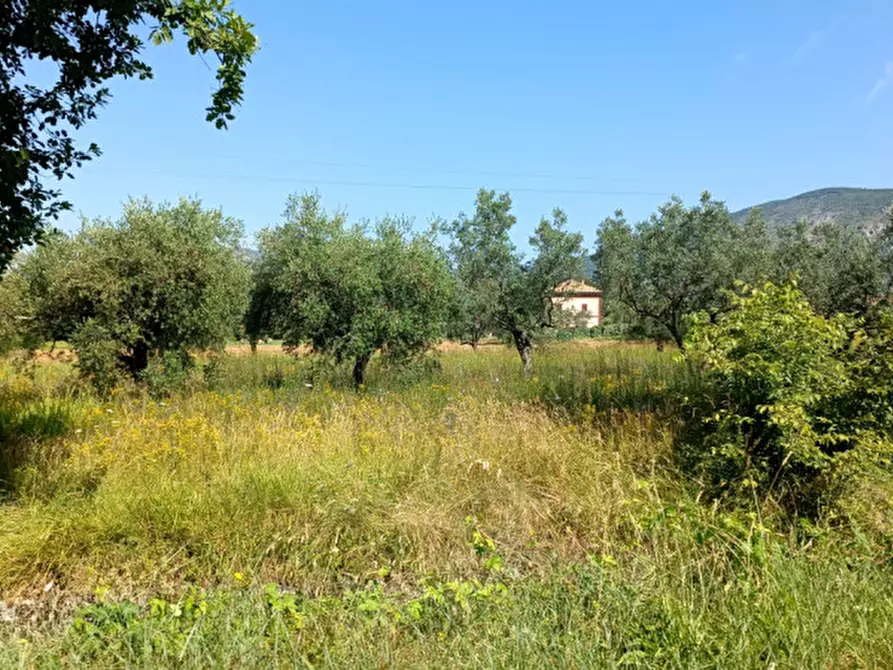 Immagine 7 di Rustico / casale in vendita  in VIA PIANA a Roccasecca