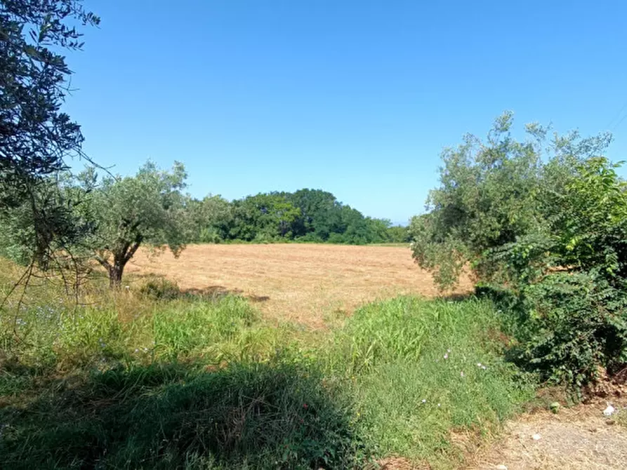 Immagine 8 di Rustico / casale in vendita  in VIA PIANA a Roccasecca